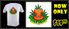HANGIN shirt